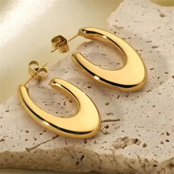 Vintage Stainless Steel Chunky Twist C Shape Earrings for Women Anti Allergic Smooth Metal Circle Huggie Ear Hoop Jewelry Серьги - Image 42