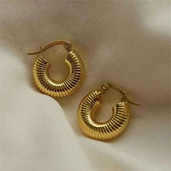 Vintage Stainless Steel Chunky Twist C Shape Earrings for Women Anti Allergic Smooth Metal Circle Huggie Ear Hoop Jewelry Серьги - Image 50